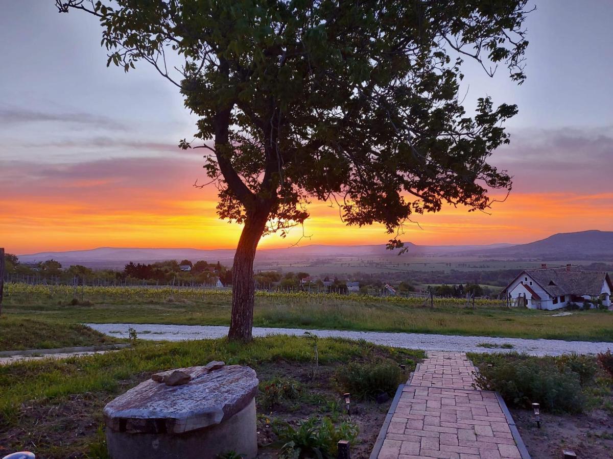 Casa Beata Villa Lesencetomaj Dış mekan fotoğraf