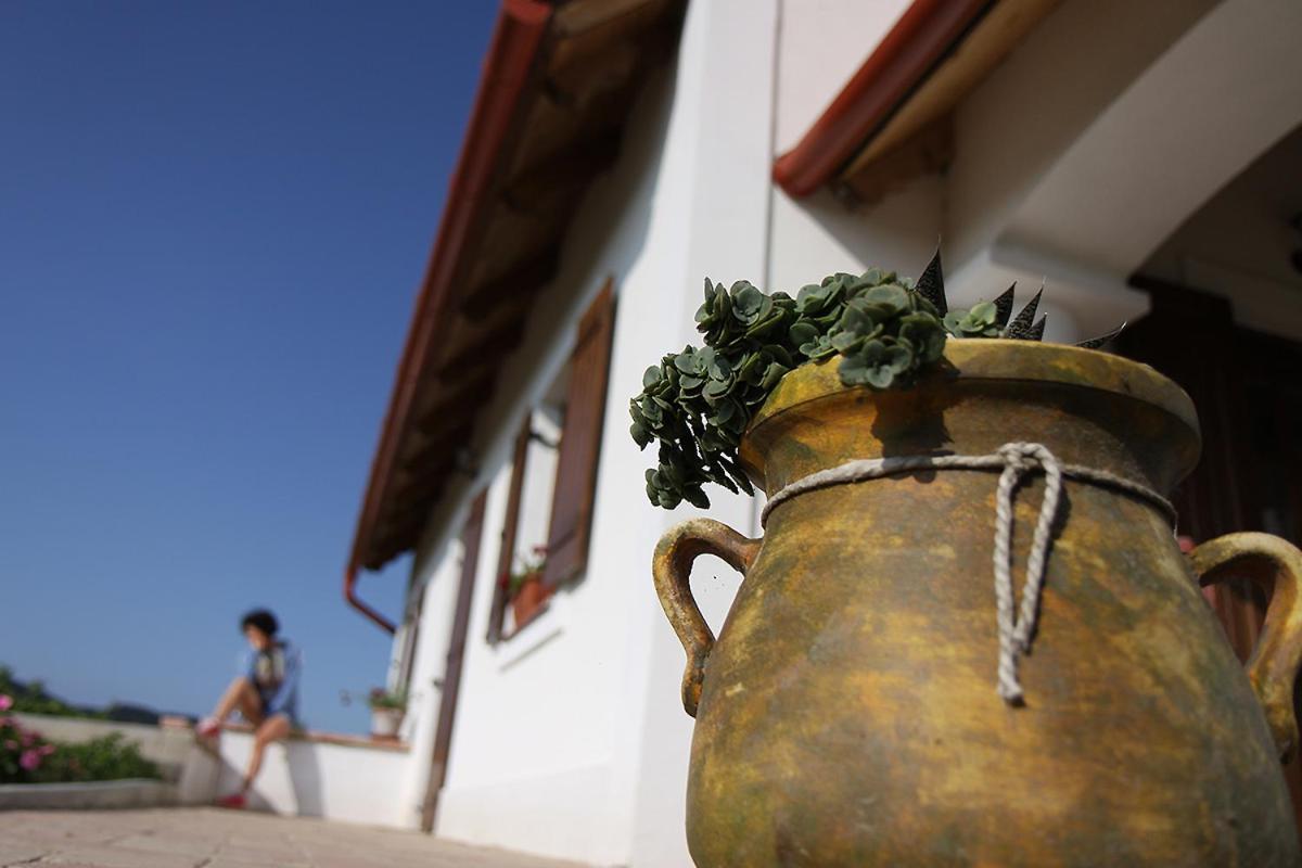 Casa Beata Villa Lesencetomaj Dış mekan fotoğraf