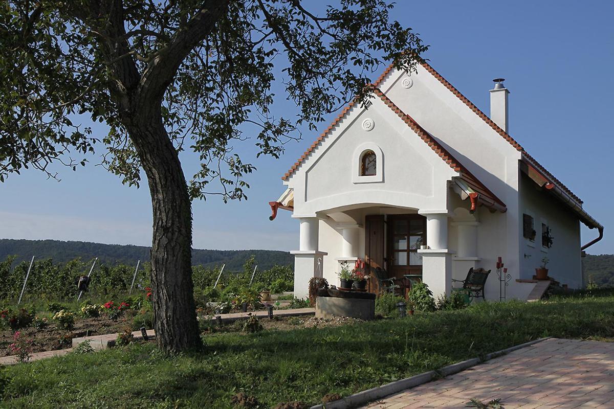 Casa Beata Villa Lesencetomaj Dış mekan fotoğraf