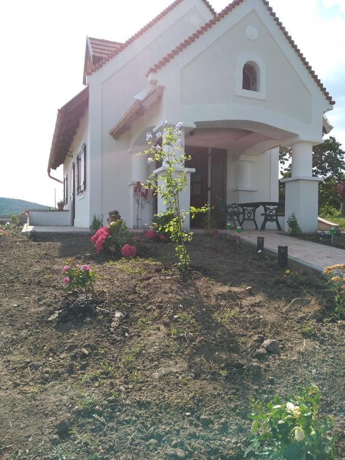 Casa Beata Villa Lesencetomaj Dış mekan fotoğraf